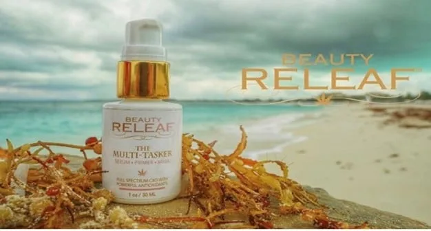 Clean Beauty - We all Need a Relief